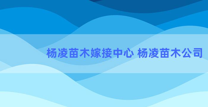 杨凌苗木嫁接中心 杨凌苗木公司